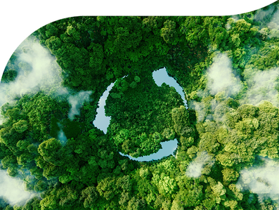 Wald als Zeichen der Nachhaltigkeit bei mera Wald als Zeichen der Nachhaltigkeit bei mera