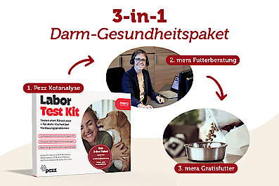 mera x Pezz Kooperation Newsbanner mera x Pezz Kooperation Newsbanner