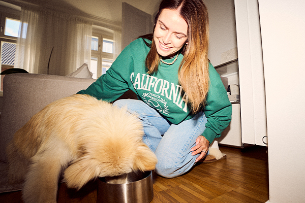 Hund mit Kopf im Futternapf und Frauchen im Hintergrund Hund mit Kopf im Futternapf und Frauchen im Hintergrund